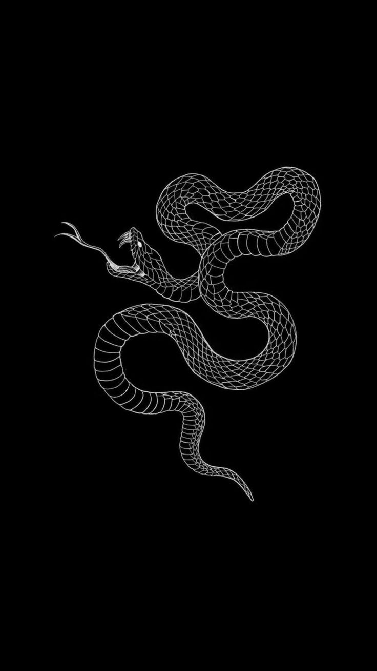 Page 21 | Cobra Snake Wallpaper Images - Free Download on Freepik