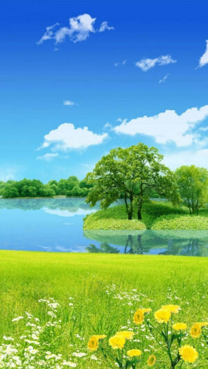 Spring Wallpaper