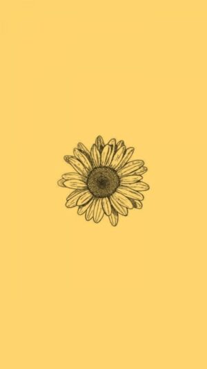 Sunflower Wallpaper