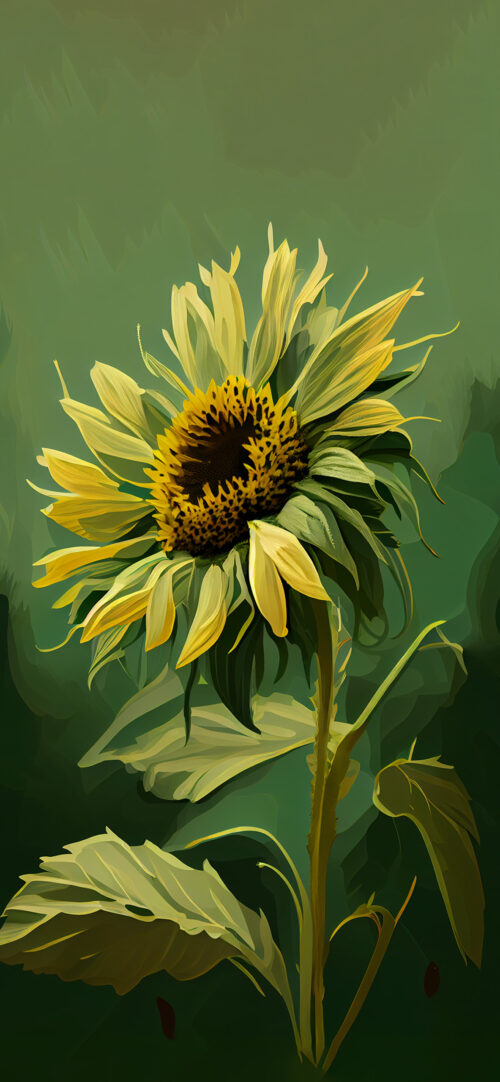 HD Sunflower Wallpaper WhatsPaper