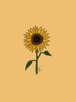 Sunflower Wallpaper