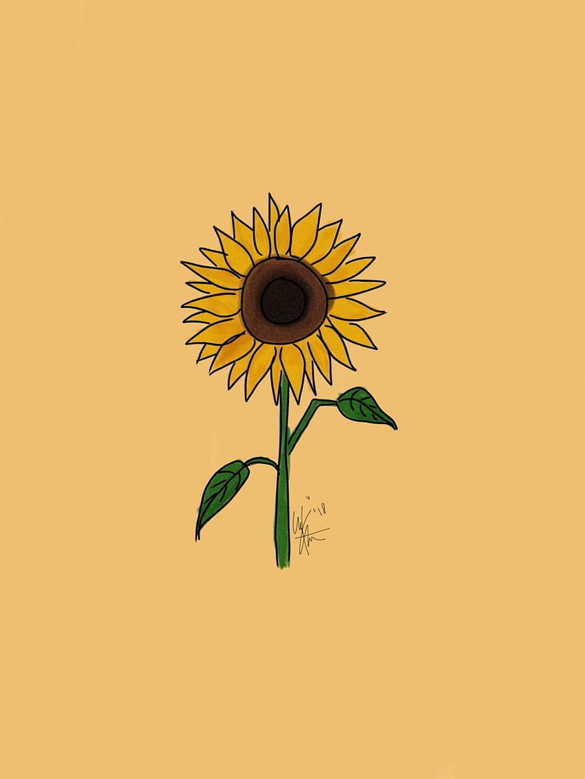Sunflower Wallpaper | WhatsPaper