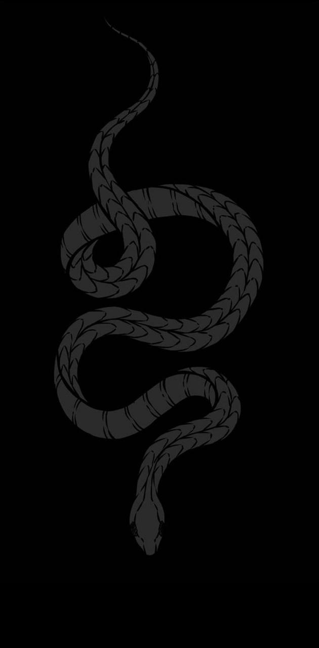 Black Snake Pictures | Download Free Images on Unsplash