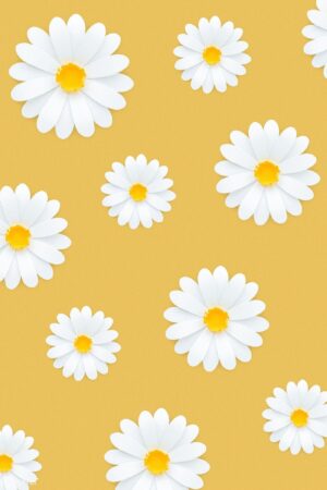 4K Daisy Wallpaper