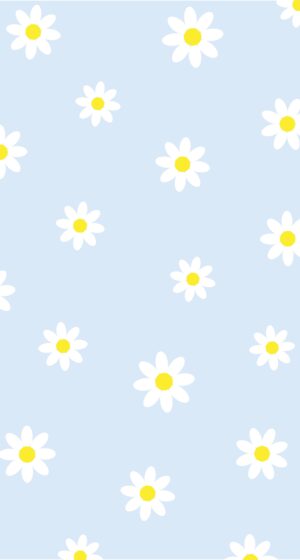 Daisy Wallpaper 