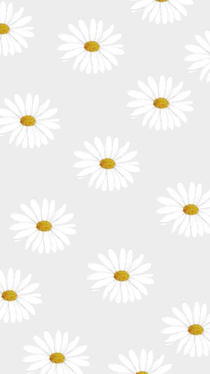 Daisy Wallpaper