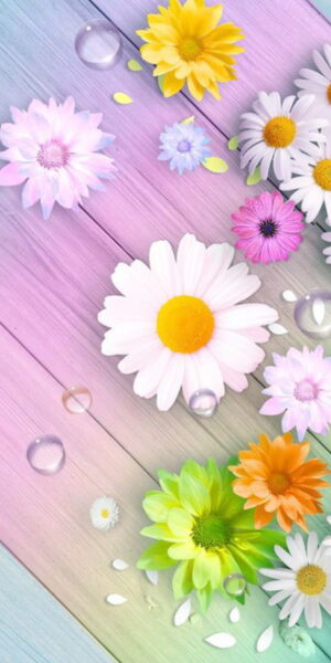 Daisy Background