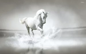 Desktop Horse Wallpaper 