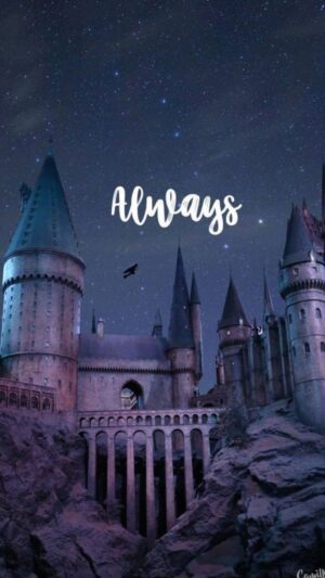 Harry Potter Wallpaper 