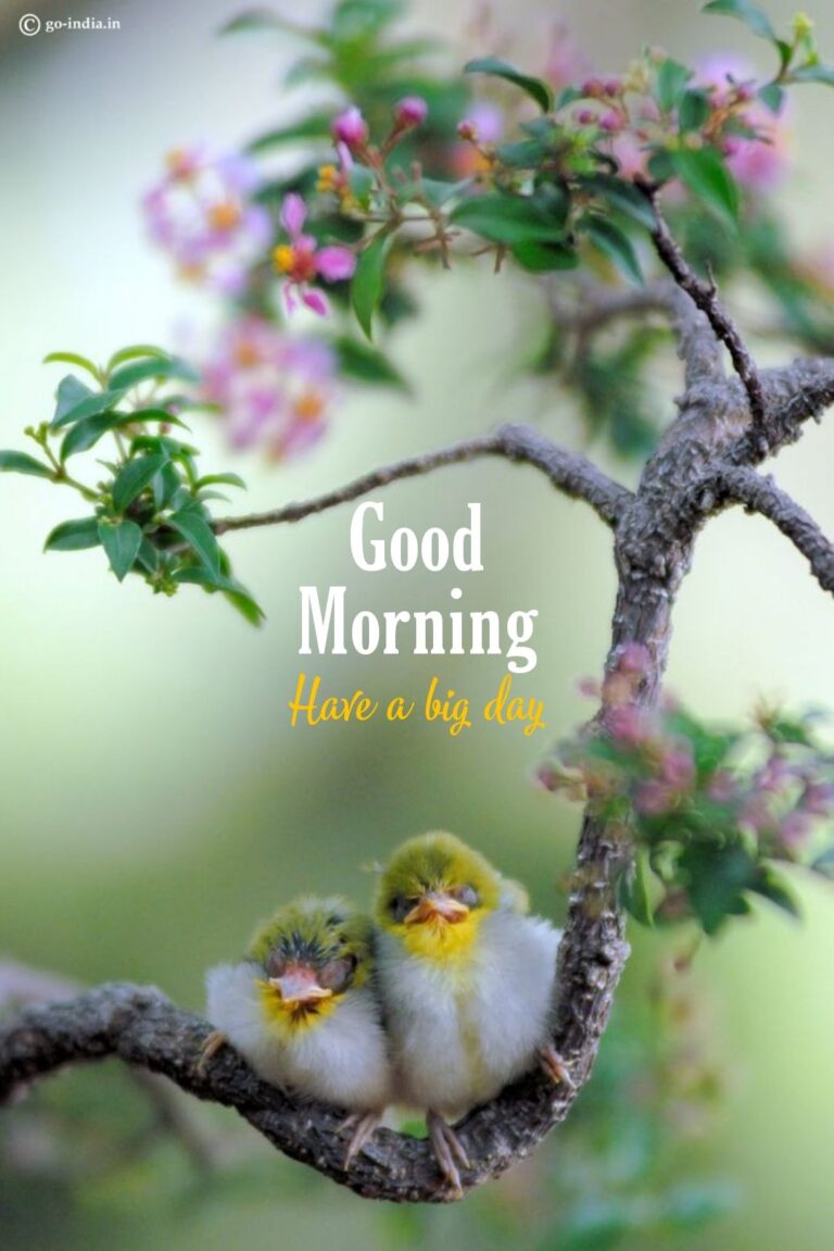 Good Morning Background | WhatsPaper
