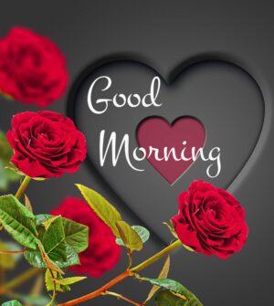 HD Good Morning Wallpaper 