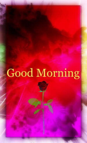 4K Good Morning Wallpaper 