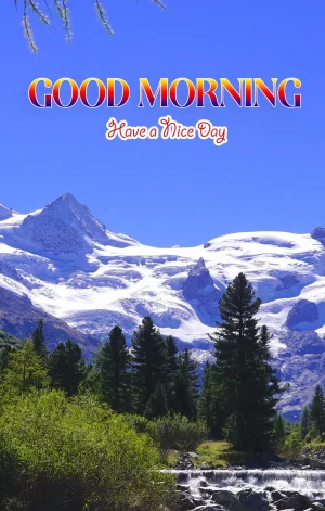 HD Good Morning Wallpaper 