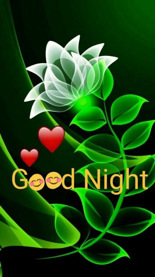 Good Night Wallpaper WhatsPaper