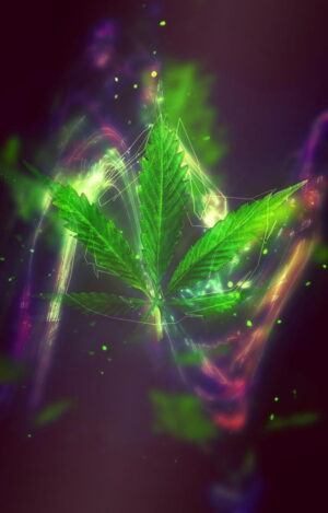 Weed Wallpaper 