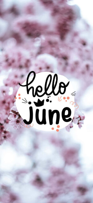 Hello June Wallpaper