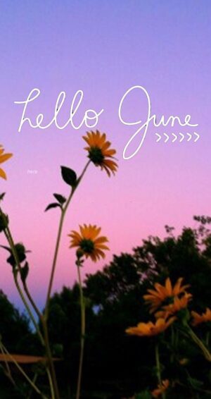 Hello June Wallpaper