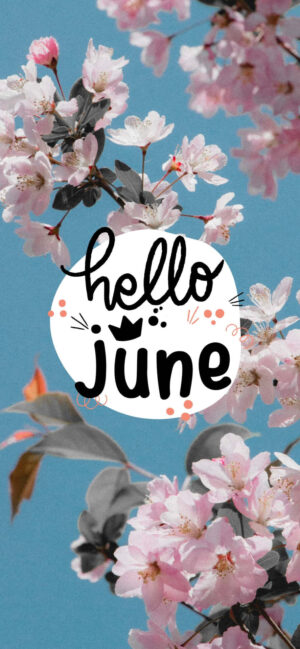 4K Hello June Wallpaper