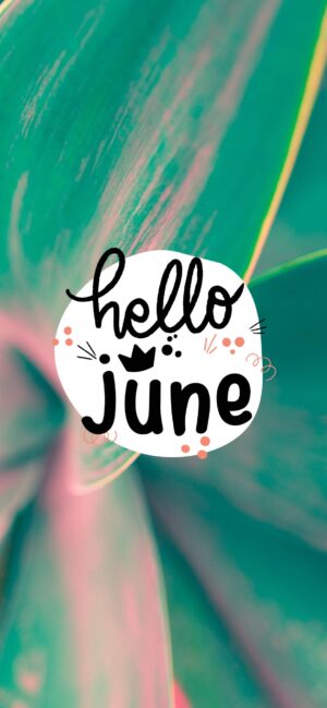 HD Hello June Wallpaper 