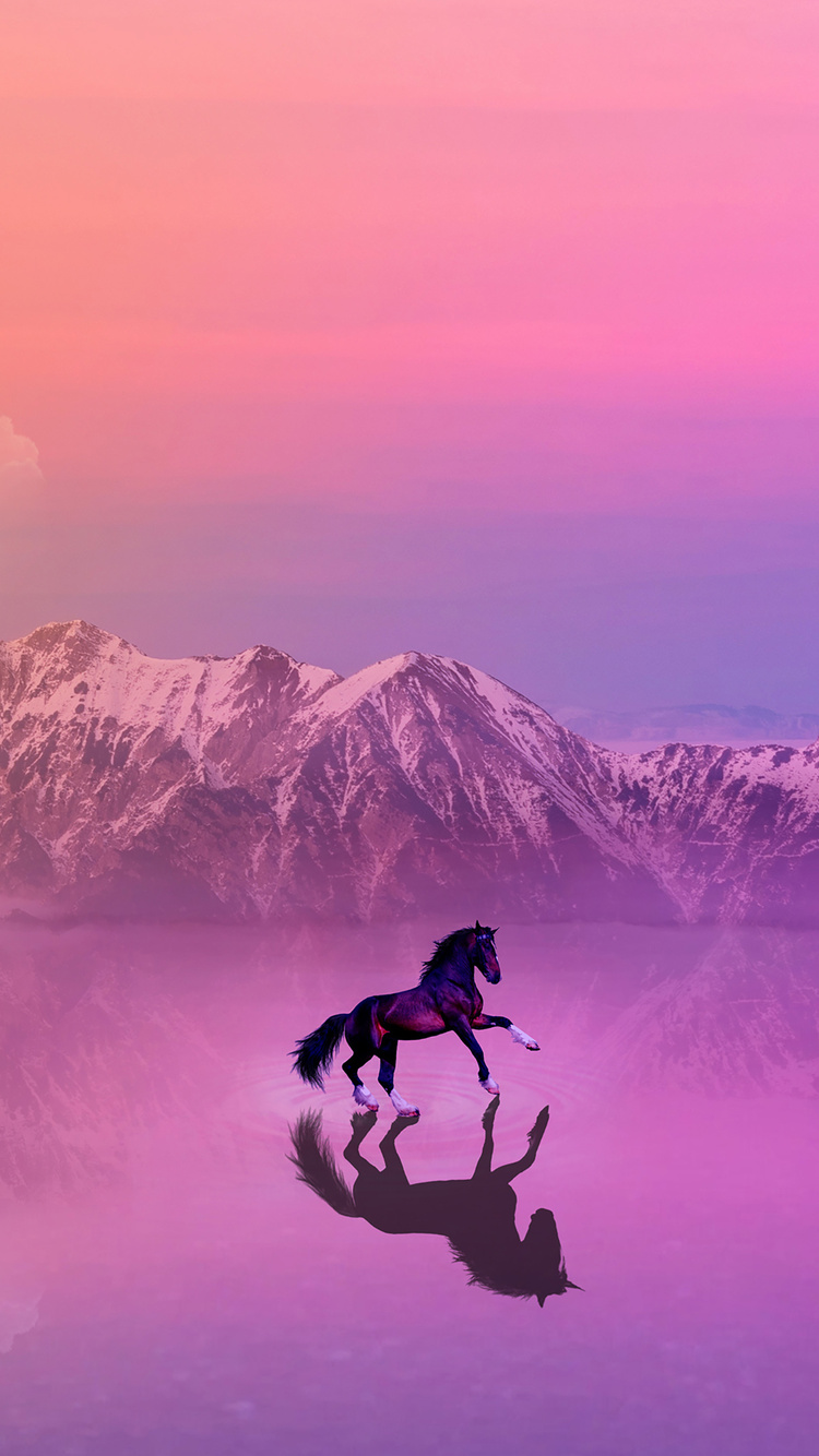 Horse Wallpaper | WhatsPaper