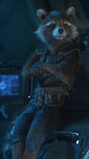 Rocket Raccoon Wallpaper 