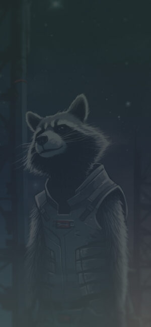 Rocket Raccoon Background 