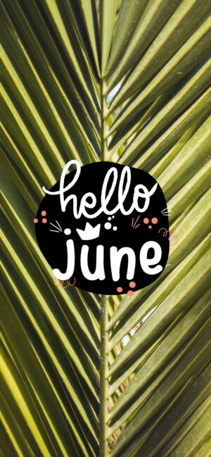 HD June Month Wallpaper