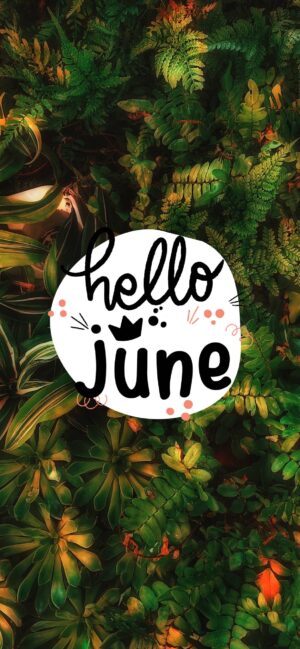 HD June Month Wallpaper