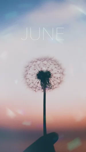 June Month Wallpaper 