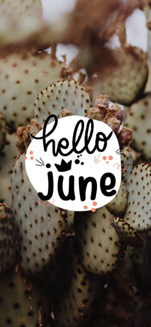 June Month Wallpaper