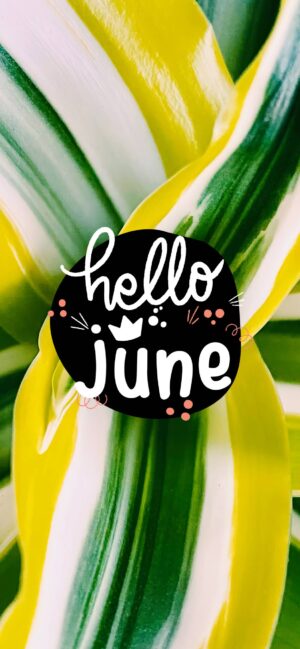 June Month Background 