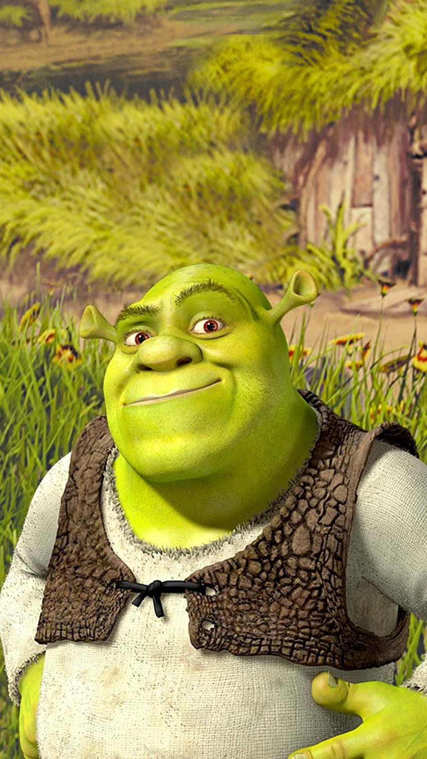 Shrek Background | WhatsPaper