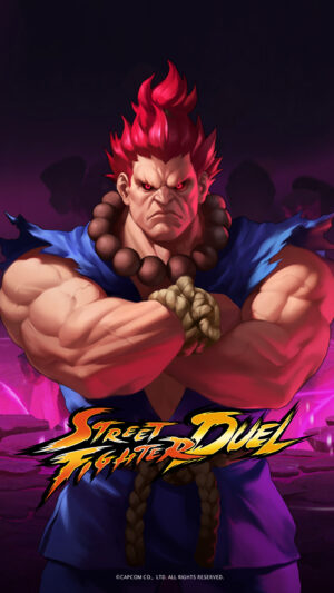 Street Fighter Wallpaper