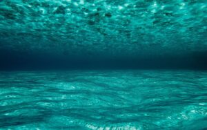 Desktop Underwater Wallpaper