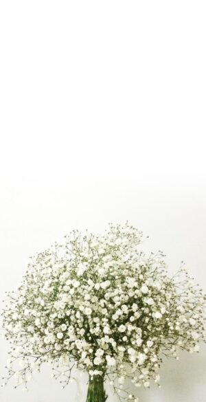 White Wallpaper