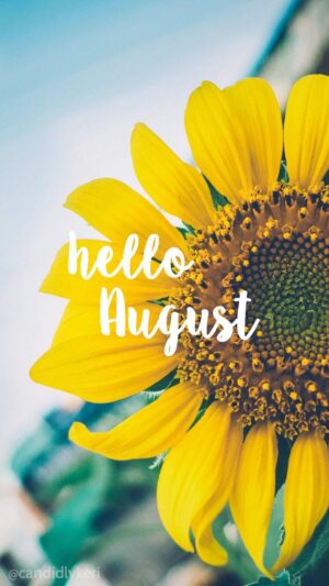 August Wallpaper