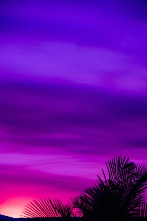 Purple Wallpaper 