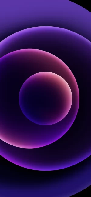 Purple Wallpaper 