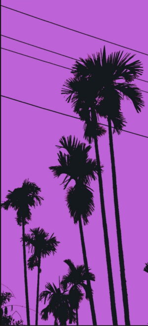 Purple Wallpaper