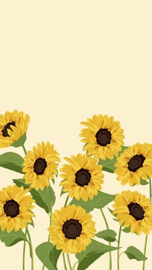 Sunflower Wallpaper 