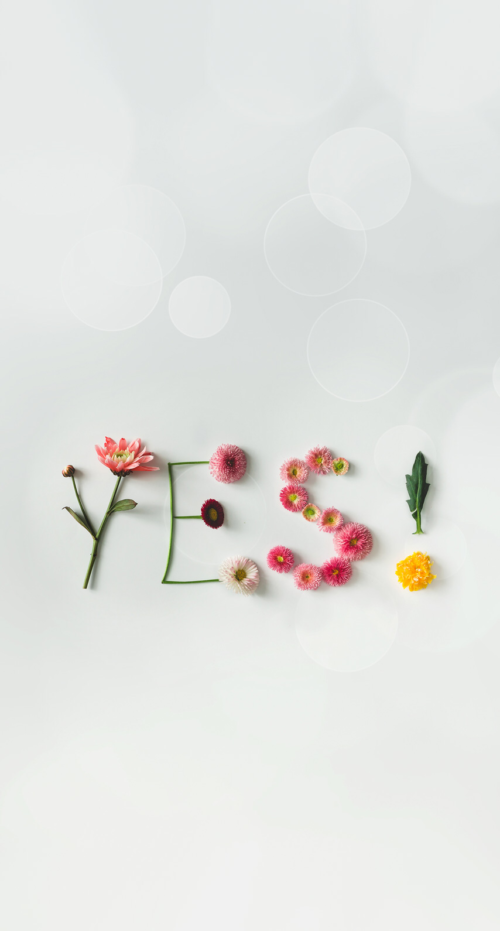 HD Yes Wallpaper | WhatsPaper