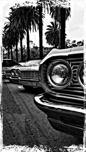 Lowrider Background 