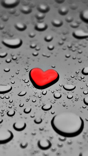 Romance Wallpaper