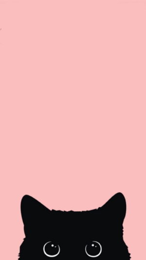 Cat Wallpaper 