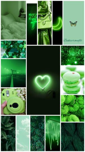 Green Wallpaper