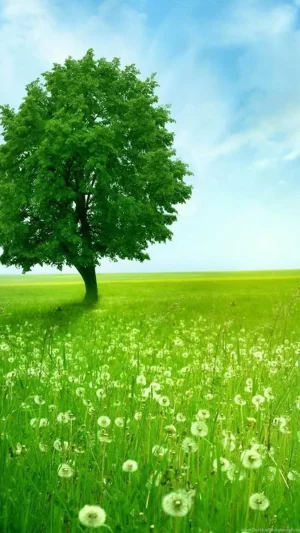 HD Green Wallpaper