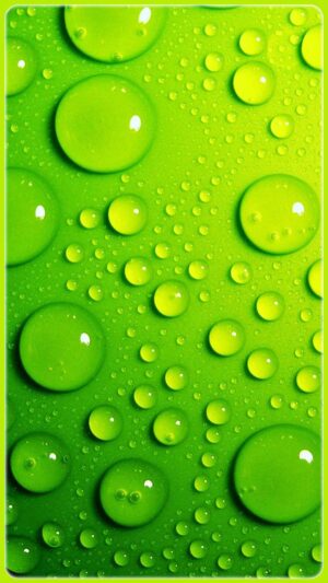 Green Wallpaper