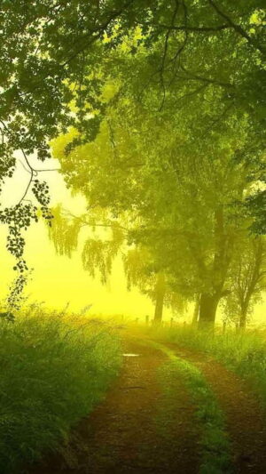 Green Background 
