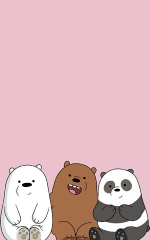 Panda Bear Background