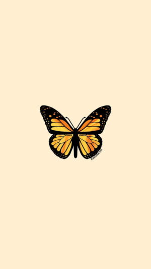 Butterfly Wallpaper